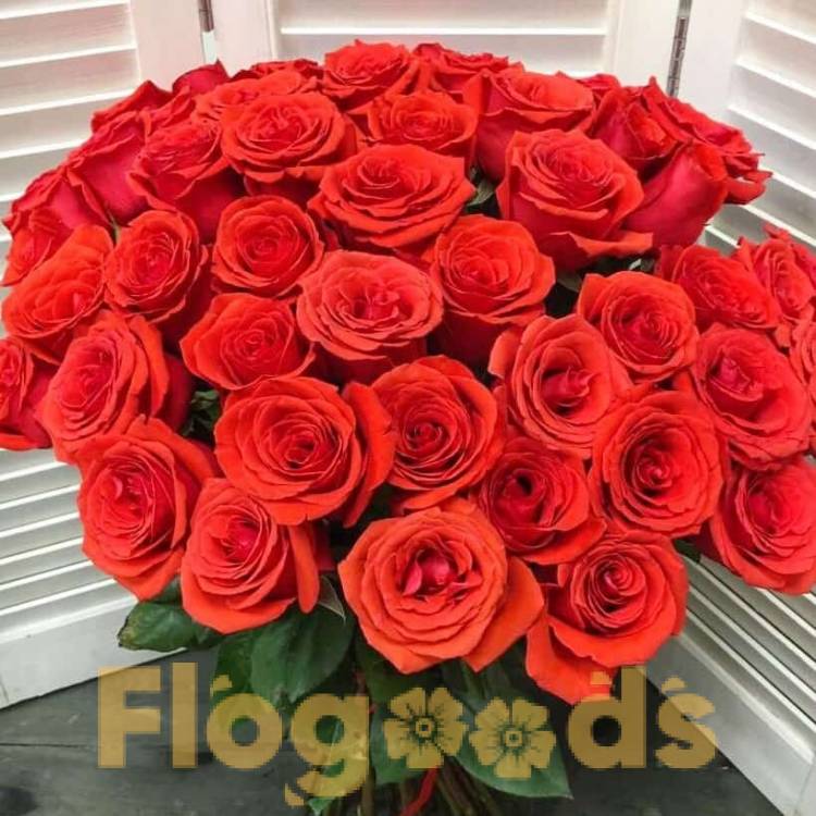 51 красная роза за 19 501 руб.